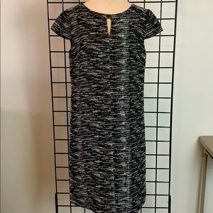 TAHARI Arthur S Levine ~ Shift Dress EC